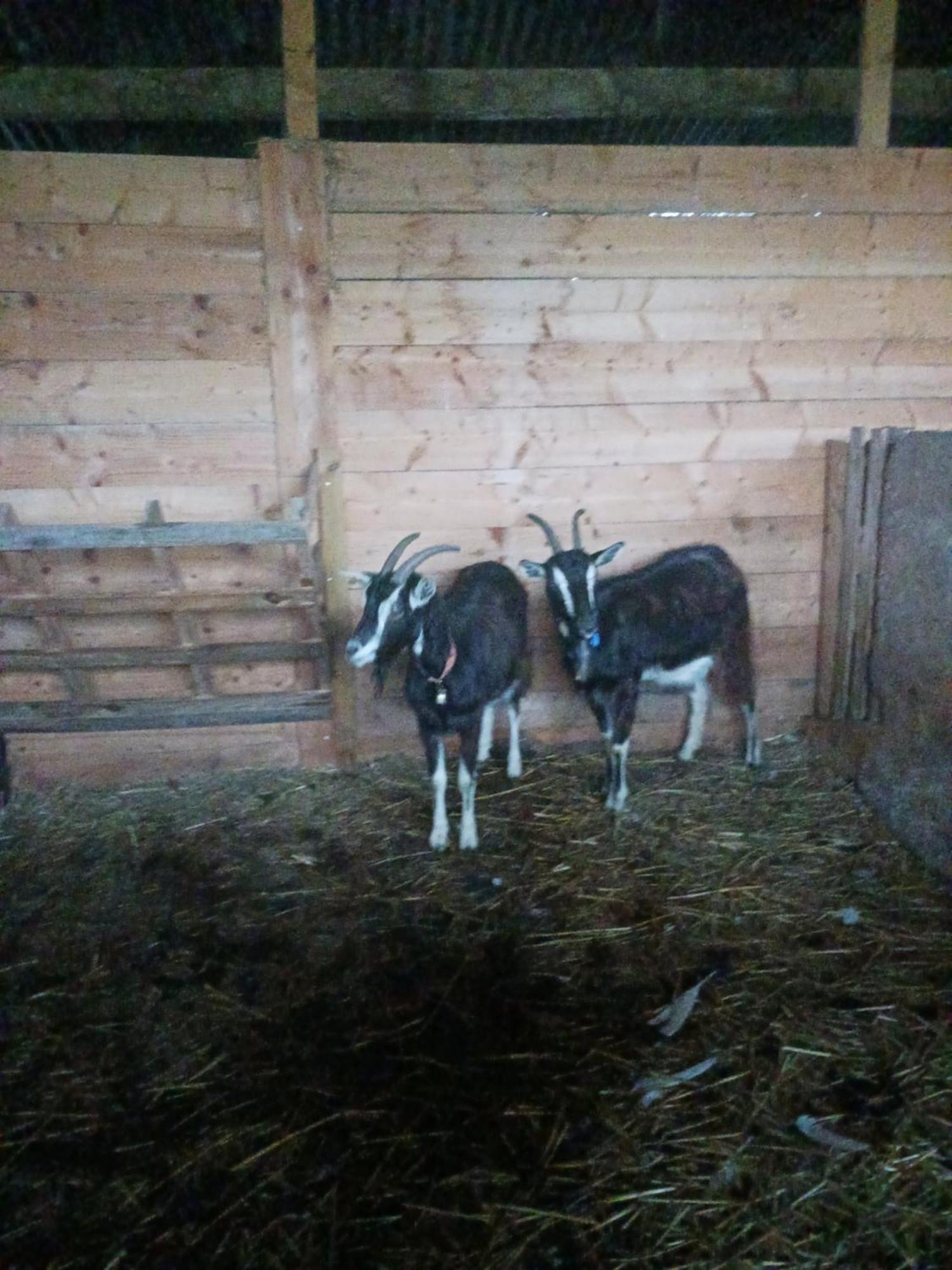 La Ferme Stanczak Apartman Tréguier Kültér fotó