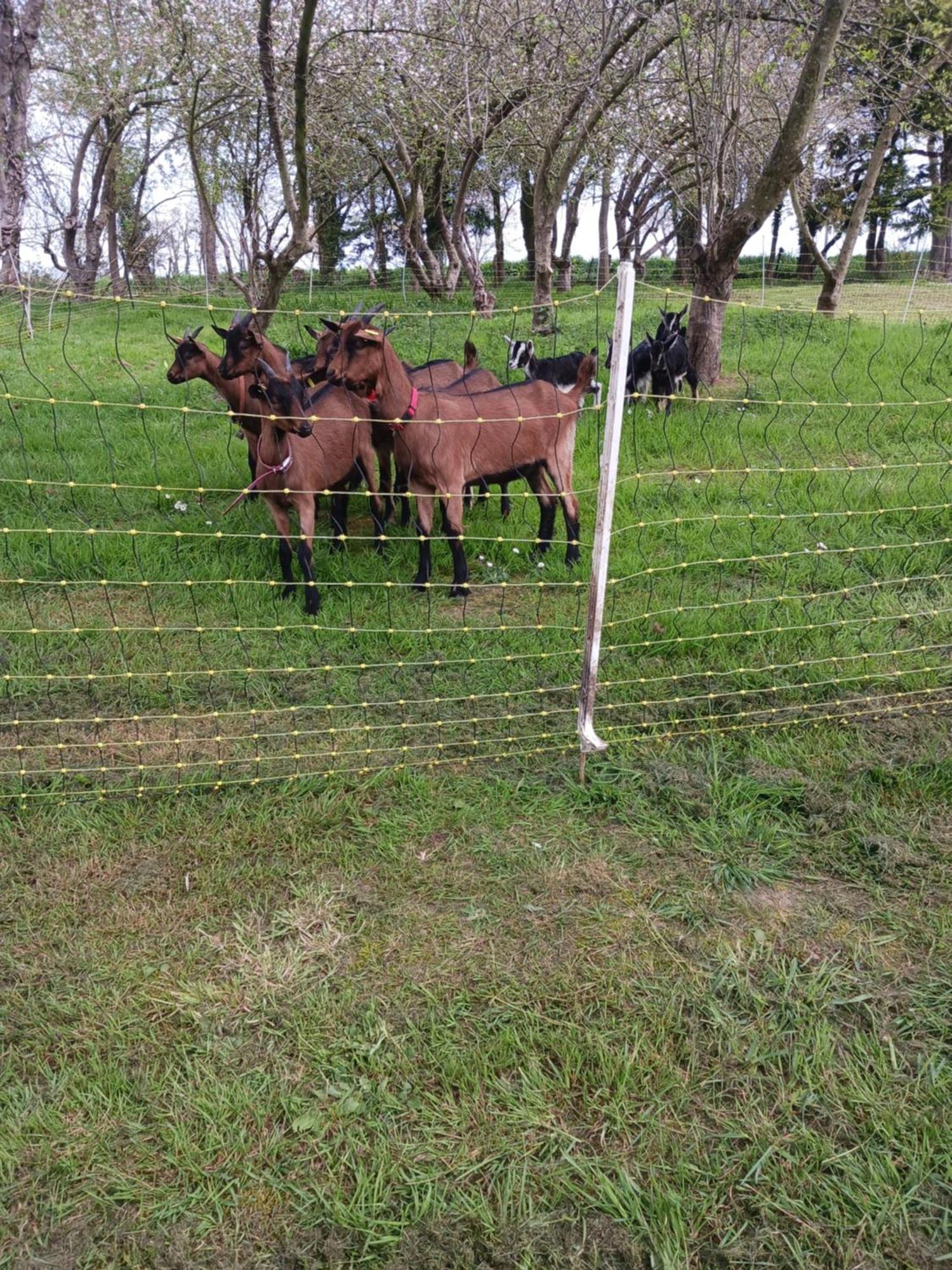 La Ferme Stanczak Apartman Tréguier Kültér fotó